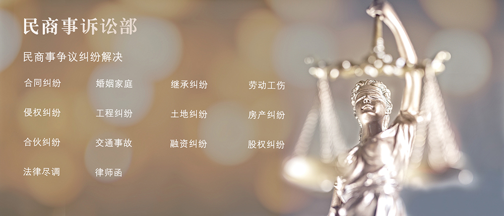 网站民商事诉讼.jpg